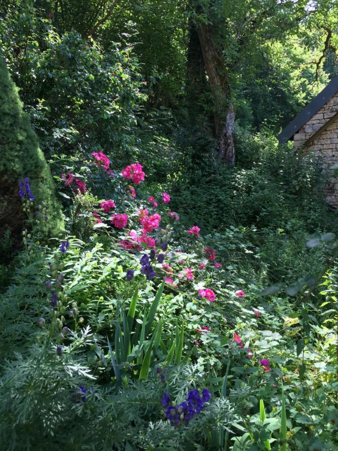 Frétigney-et-VelloreilleMoulin De La Rouchotte住宿加早餐旅馆 外观 照片