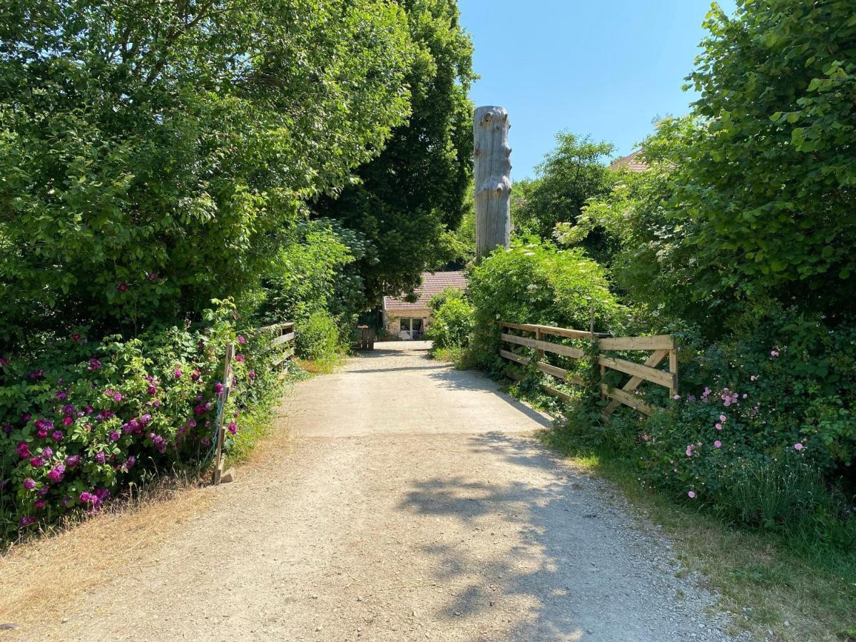 Frétigney-et-VelloreilleMoulin De La Rouchotte住宿加早餐旅馆 外观 照片